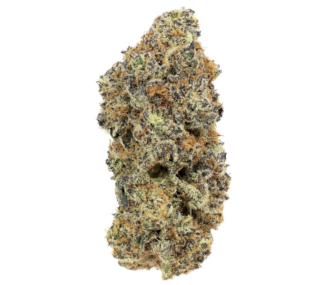 Tales & Travels | Raspberry Shortcake | Flower | 7G