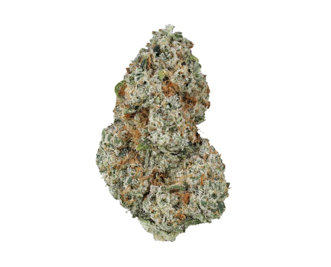 Revolution | Peach Crescendo | Flower | 7G by Revolution Cannabis
