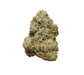 Revolution | Royal Wedding | Flower | 3.5G