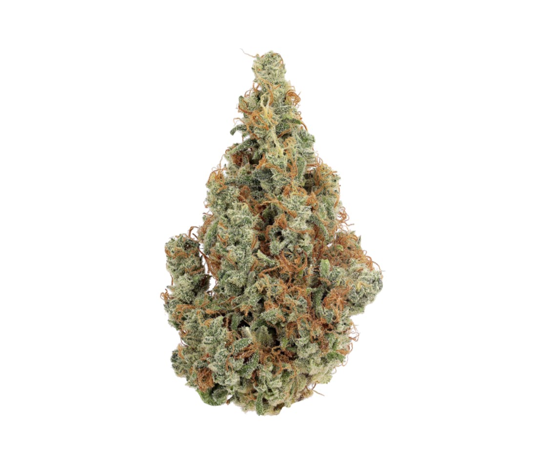 Revolution | Blueberry Clementine | Flower | 3.5G by Revolution Cannabis