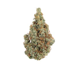 Revolution | Blueberry Clementine | Flower | 3.5G