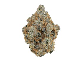 Revolution | Opal Aura OG | Flower | 3.5G
