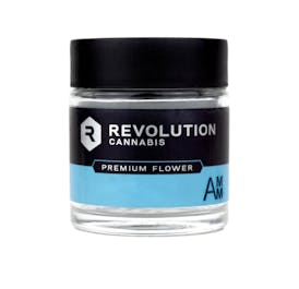 Revolution | Sunset Sherbet | Flower | 3.5G