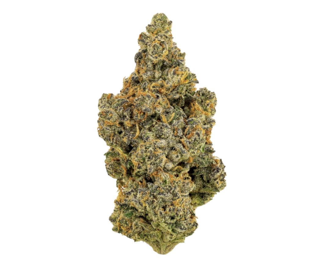 Revolution | Project 4510 | Flower | 14G by Revolution Cannabis