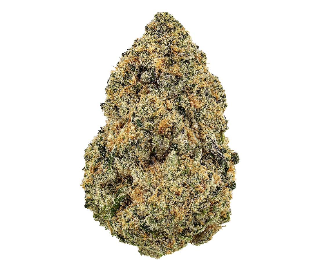 Tales Travels Moon Boots Flower