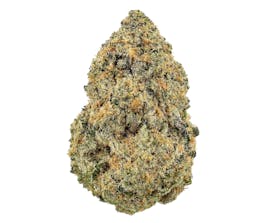 Tales & Travels | Moon Boots | Flower | 3.5G