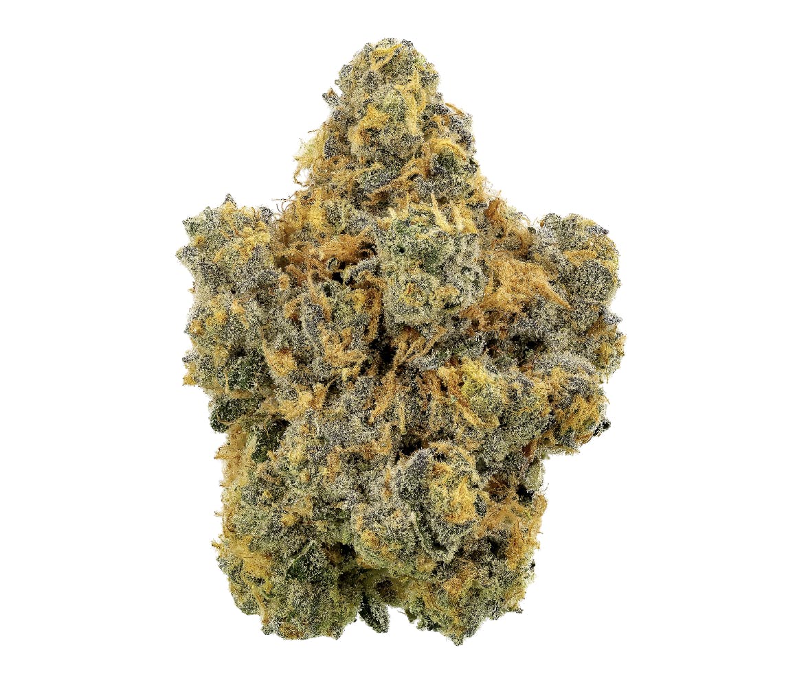 Tales Travels Glove Flower