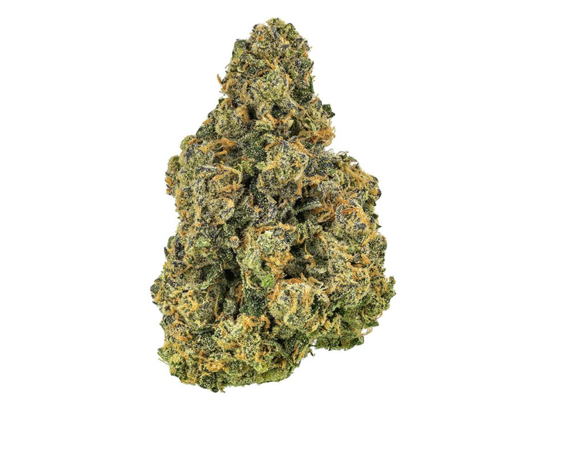 Revolution | Paradise #9 | Flower | 3.5G by Revolution Cannabis