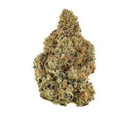 Revolution | Georgia Pie | Flower | 3.5G