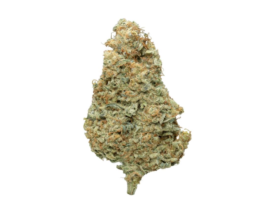 Revolution | Mac & Cheese "Spicy Papaya Cut" | Flower | 7G by Revolution Cannabis