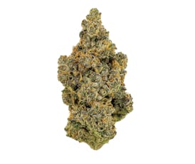 Revolution | Project 4510 | Flower | 3.5G