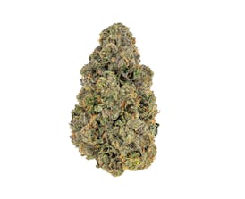 Revolution | Apple Fritter | Flower | 3.5G