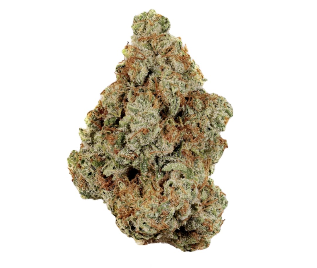 Florida Orange Flower