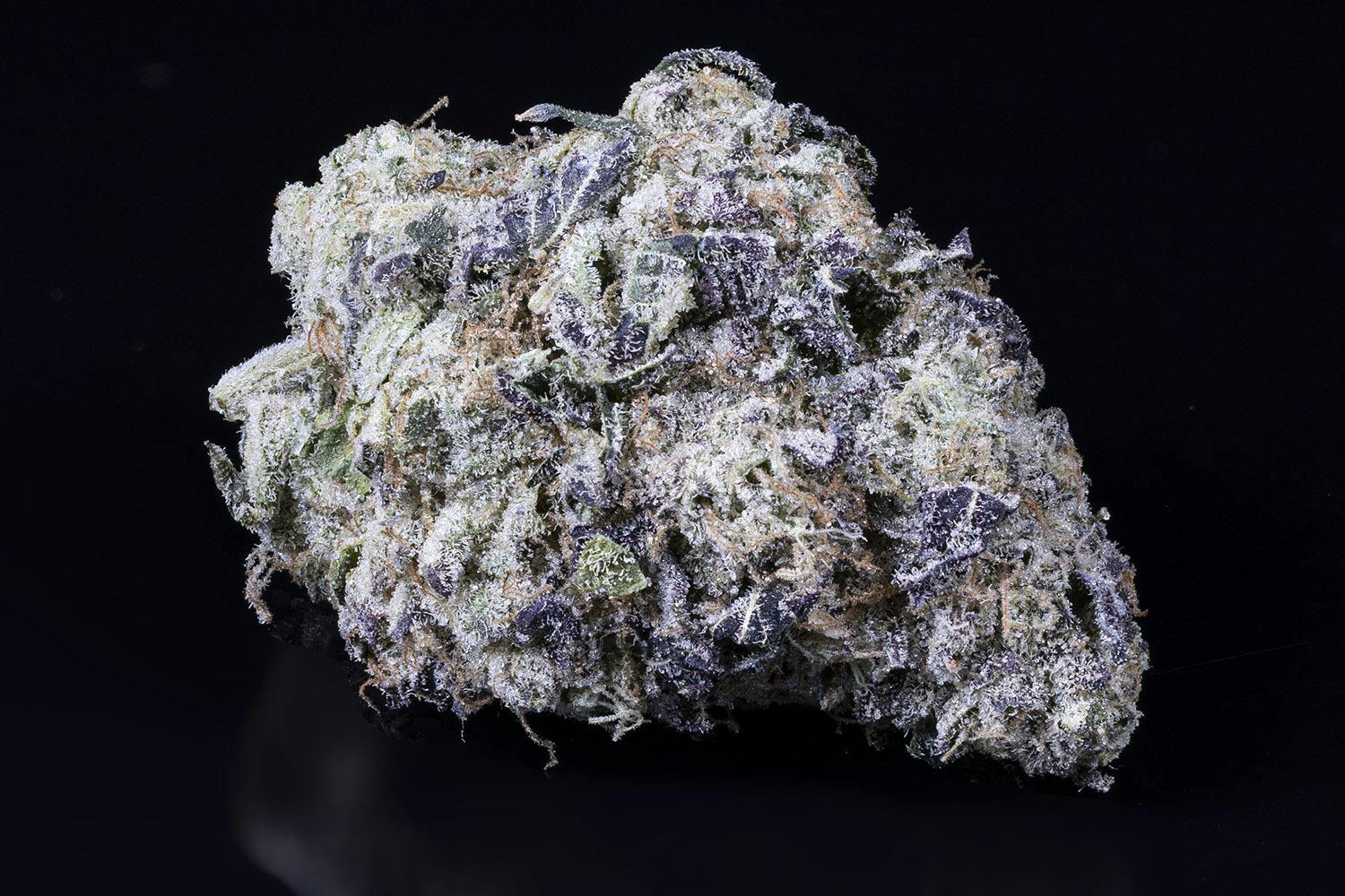 Tamarack | A Bud Bulk Flower - Super Boof by Tamarack Cannabis