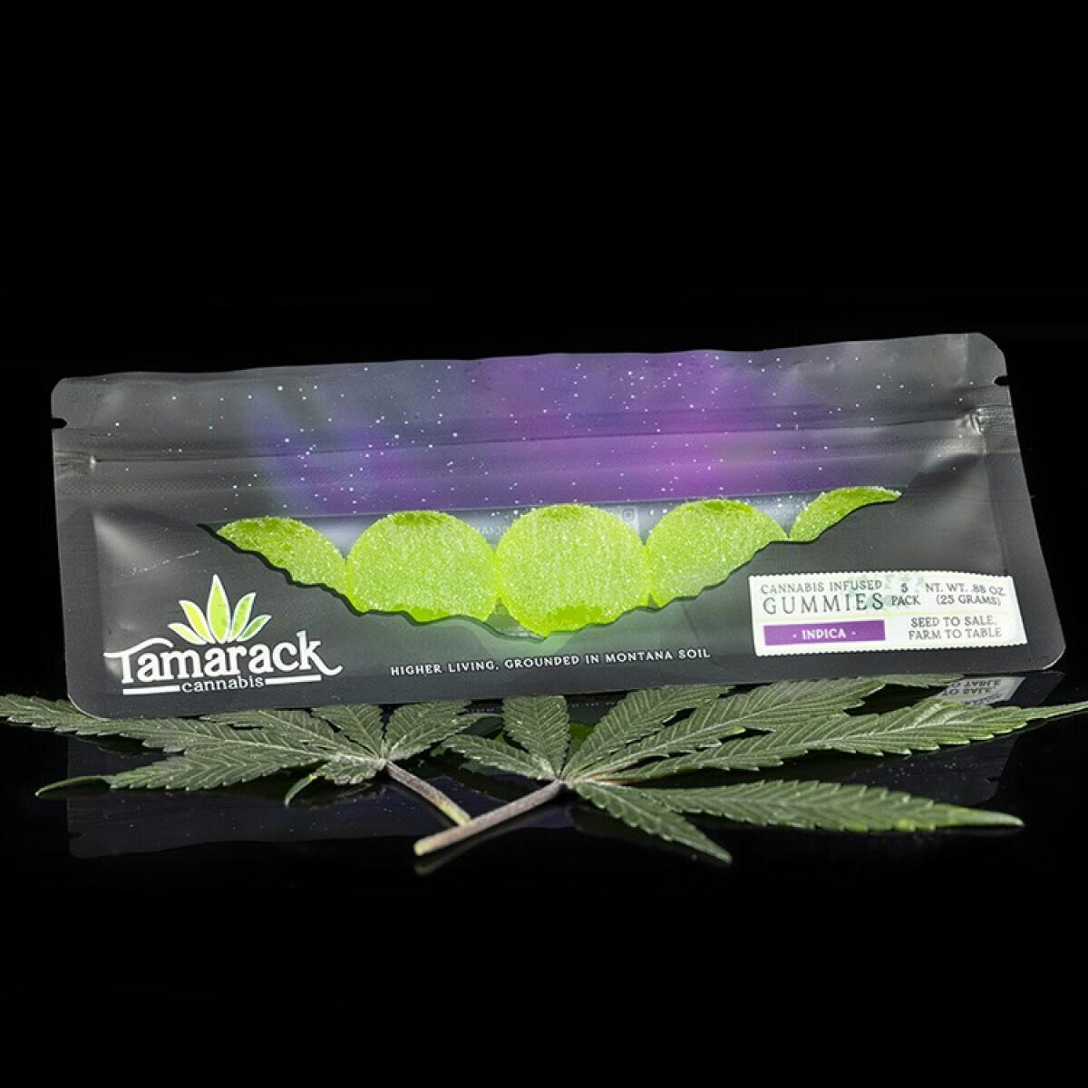 Tamarack | Regular Strength Sour Gummies 5pk - Green Apple (Day) at Tamarack Cannabis - Best Dispensary Kalispell