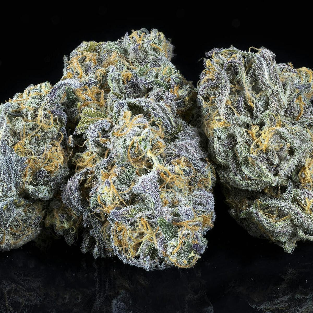 Tamarack | A Bud Bulk Flower - Jungle Cookies by Tamarack Cannabis