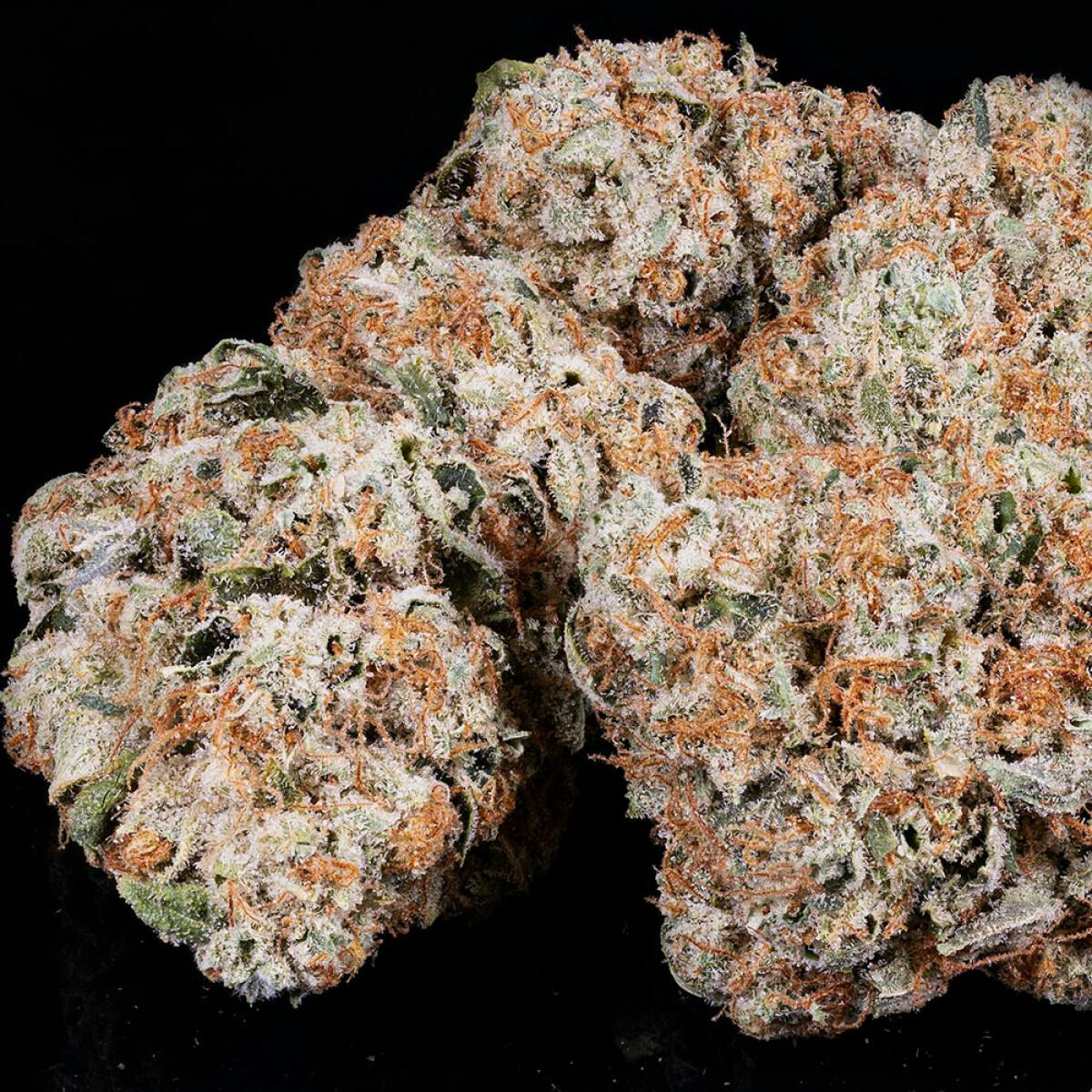 Tamarack | A Bud Bulk Flower - Motorbreath by Tamarack Cannabis