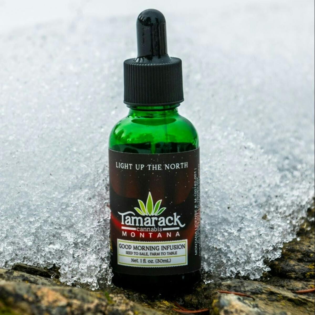 Tamarack | 1oz Tincture - Good Morning Infusion at Grizzly Pine