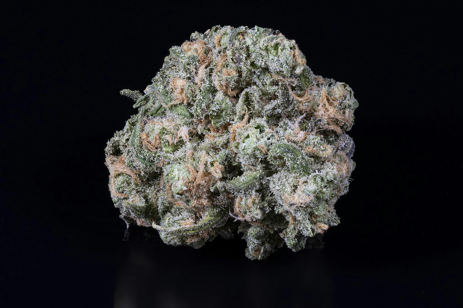Tamarack | A Bud Bulk Flower - Blue Dream by Tamarack Cannabis