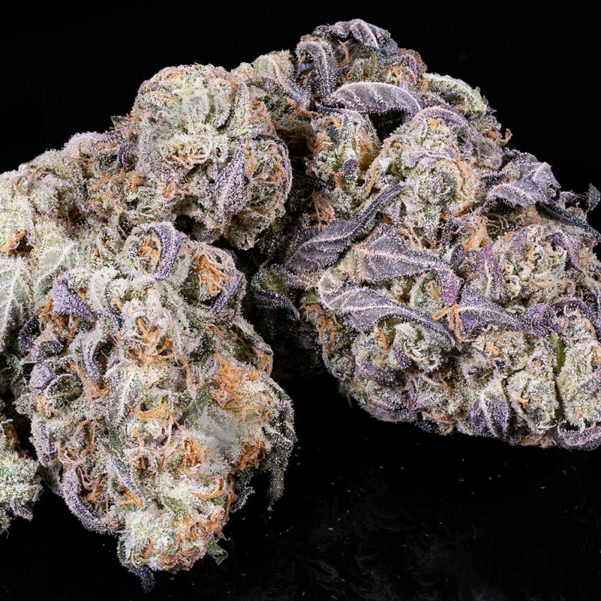 Tamarack | A Bud Bulk Flower - Tiger Cake by Tamarack Cannabis