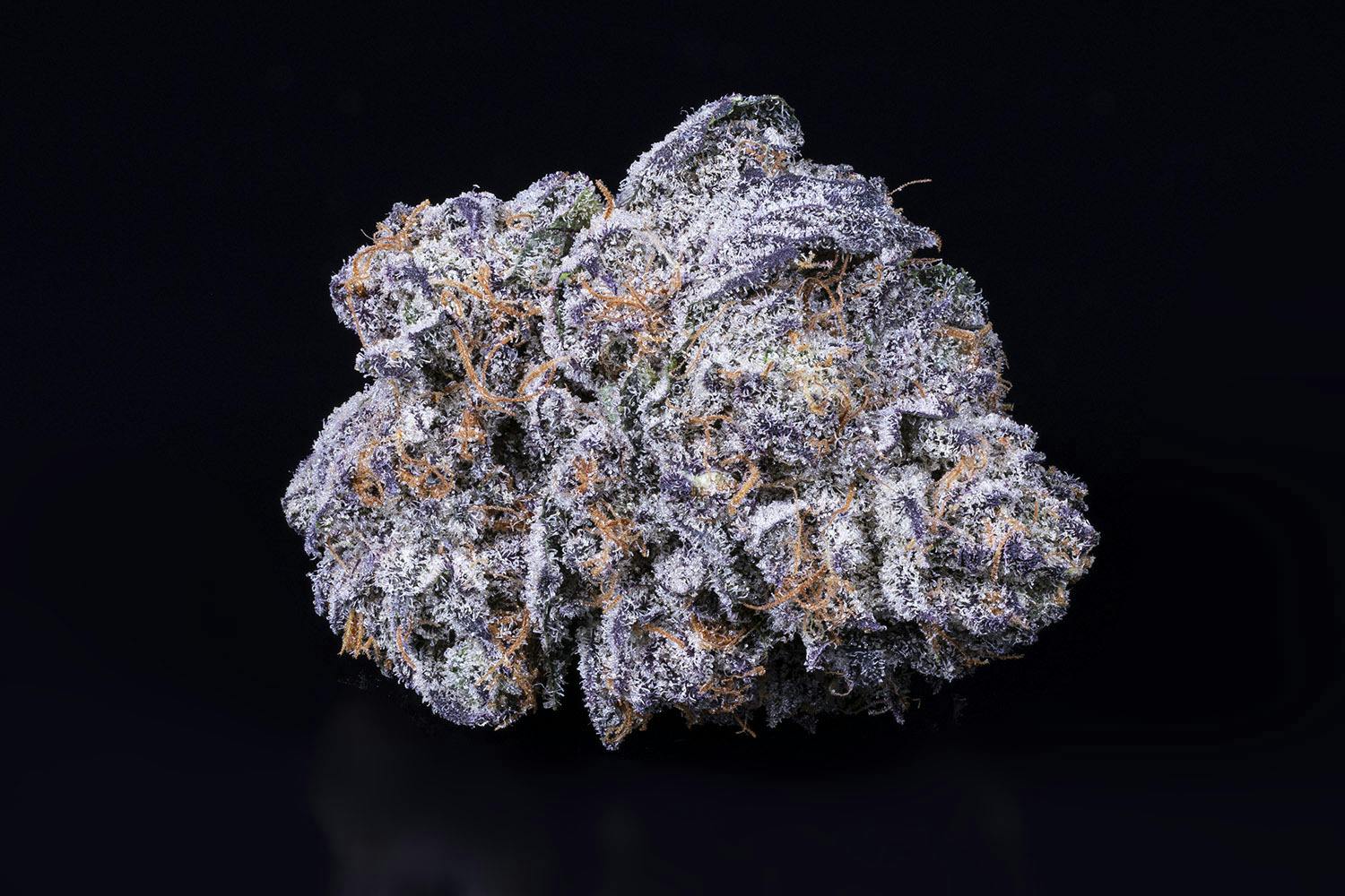 Tamarack | A Bud Bulk Flower - Platinum Lemon Cherry Gelato by Tamarack Cannabis