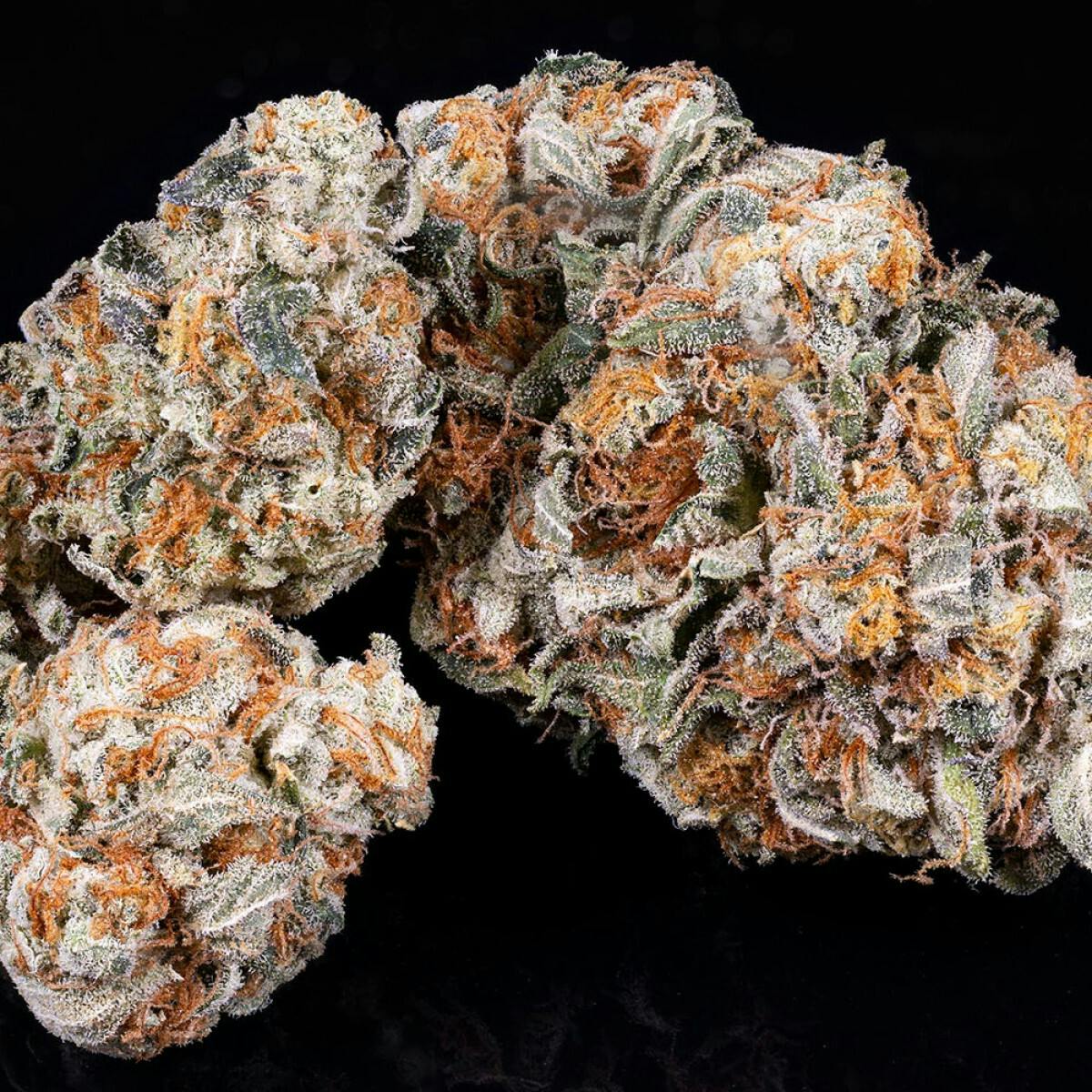 Tamarack | A Bud Bulk Flower - Corleone by Tamarack Cannabis