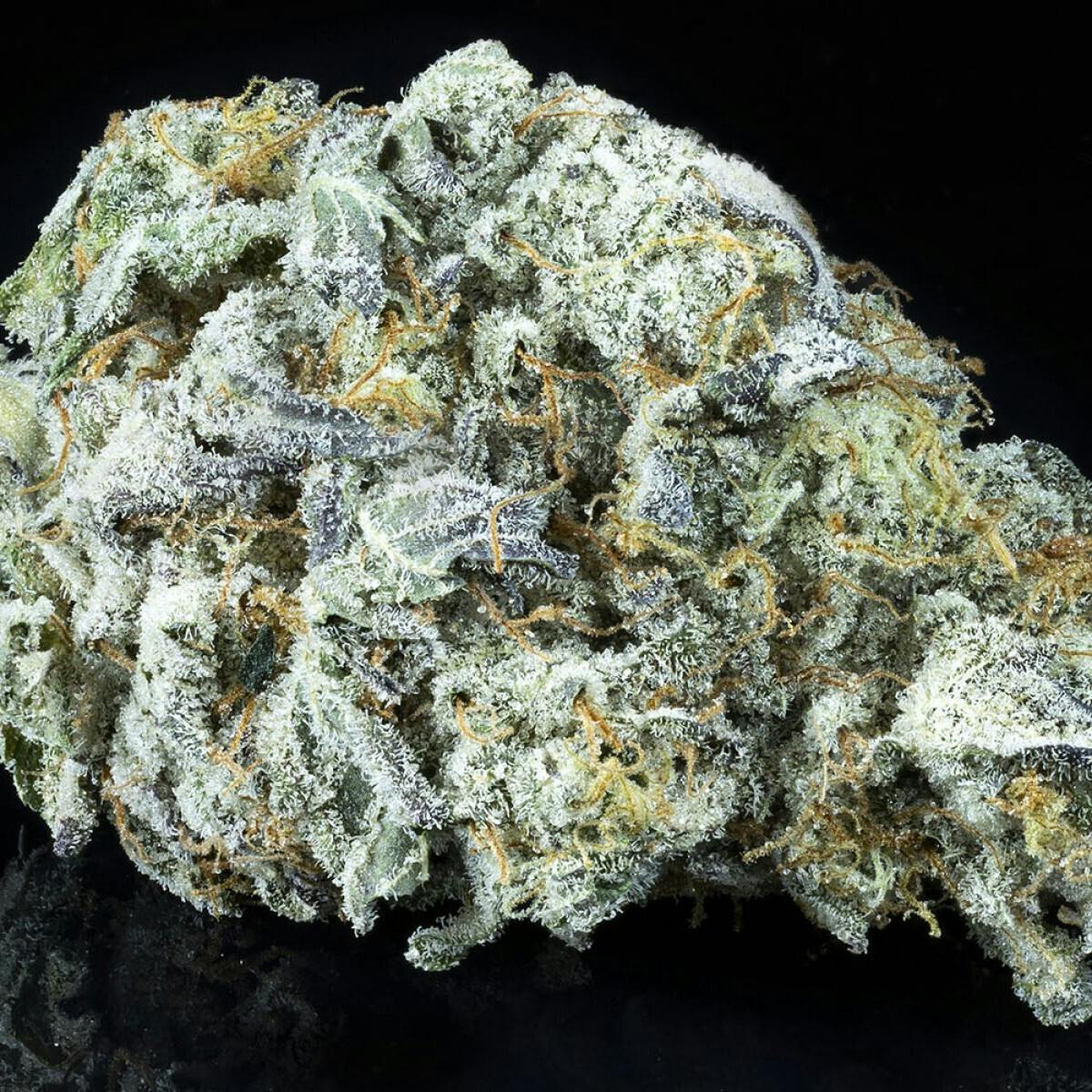 Tamarack | A Bud Bulk Flower - Kush Mint by Tamarack Cannabis