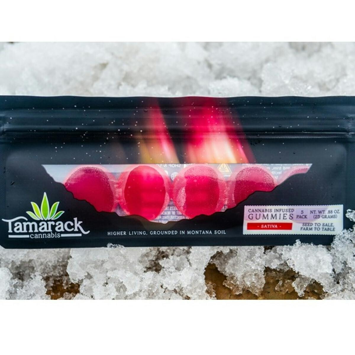 Tamarack | Extra Strength Gummies 5pk - Watermelon (Day)