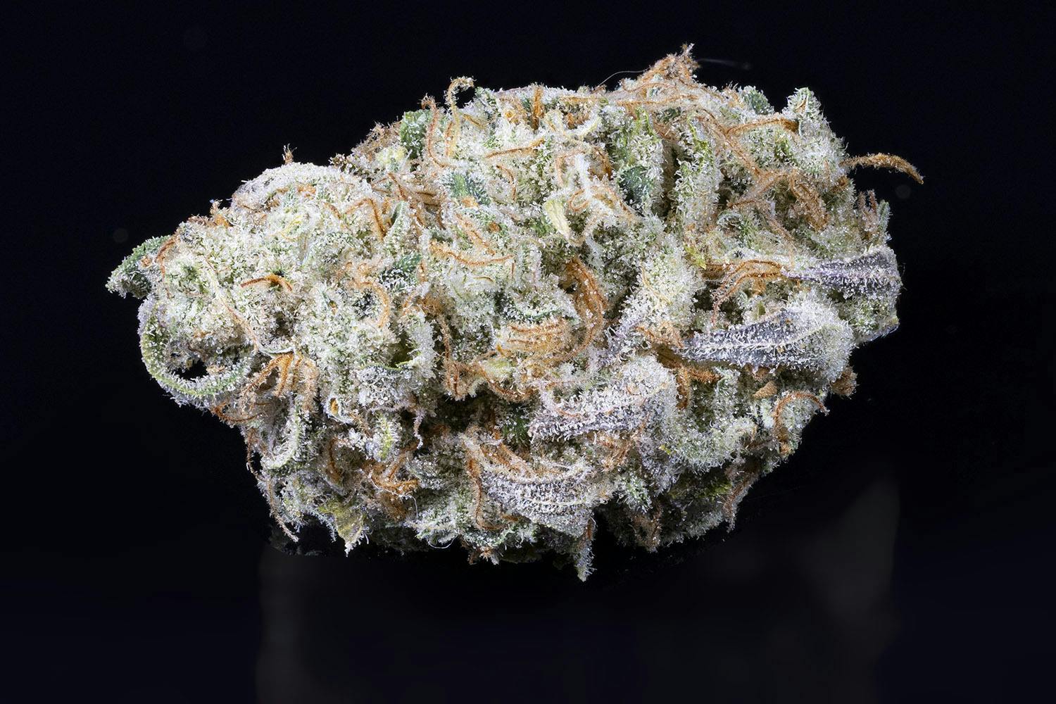 Tamarack | A Bud Bulk Flower - Honey Banana by Tamarack Cannabis