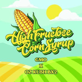 High Fructose Corn Syrup - 1g - Live Hash Rosin Batter