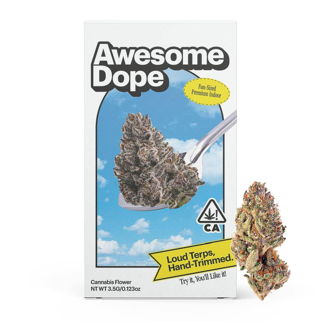 Sorbet Fs Premium 8th