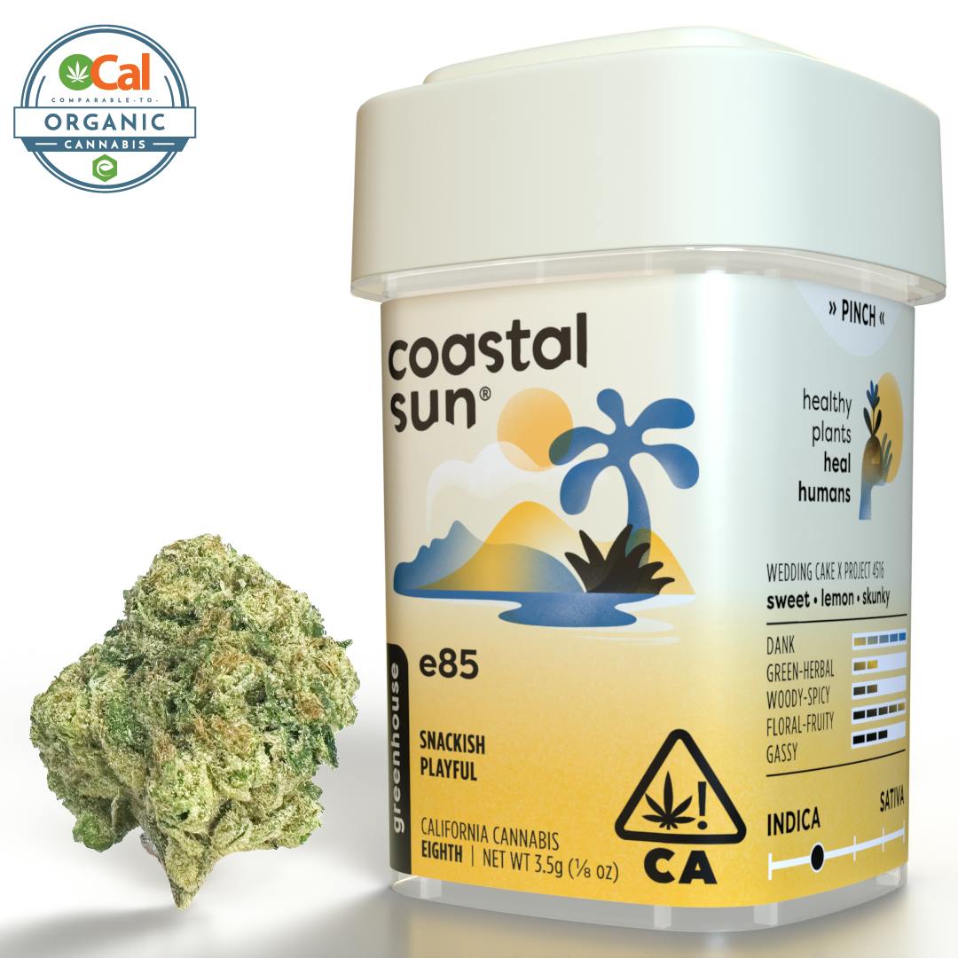 Coastal Sun — E85