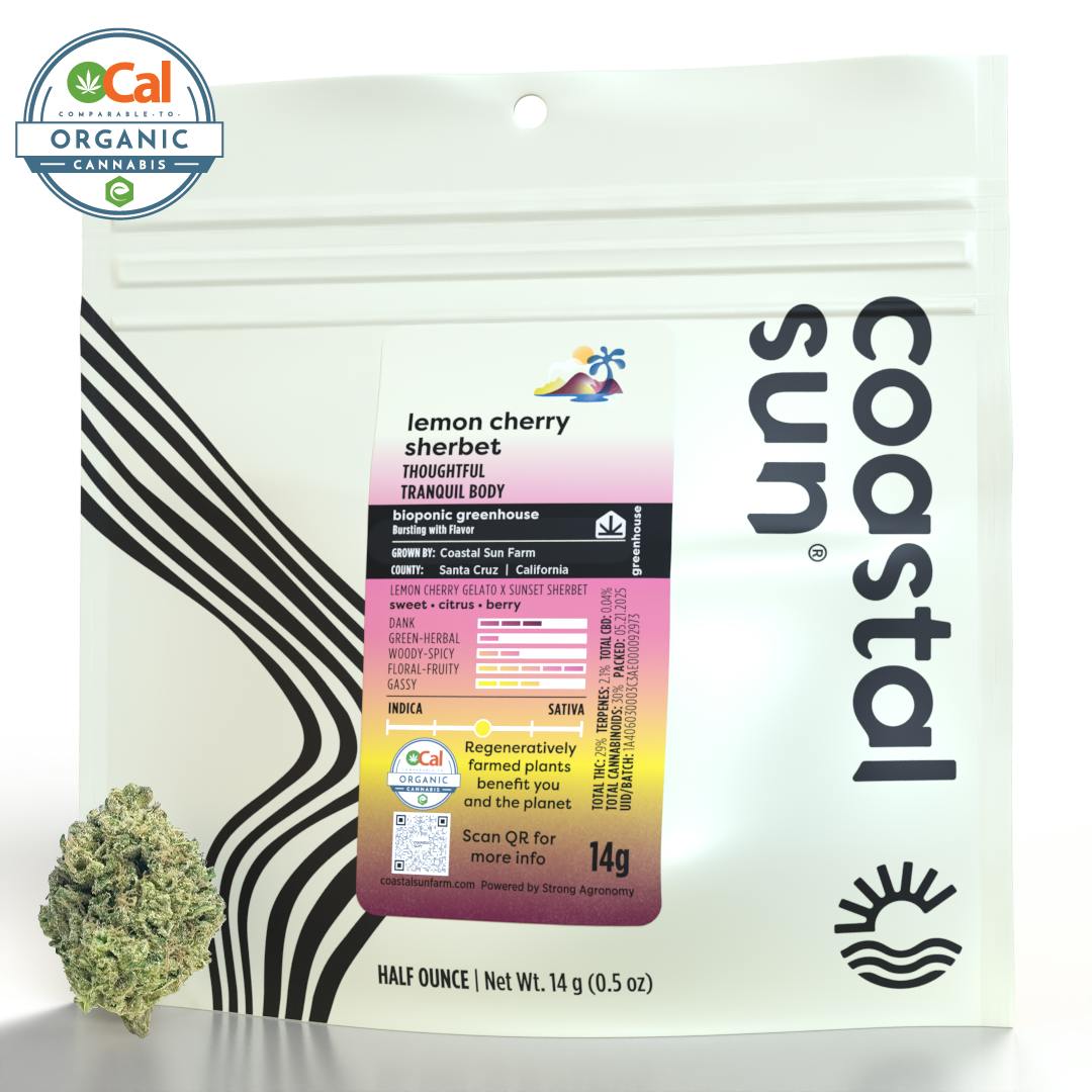 Coastal Sun — Lemon Cherry Sherbert