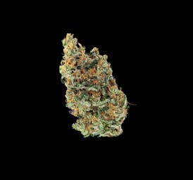 Premium Flower | Blueberry