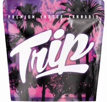 Trip