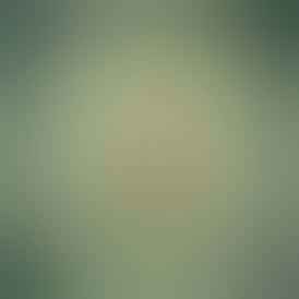 Titan Express Whole Flower - Dark Heart Collection