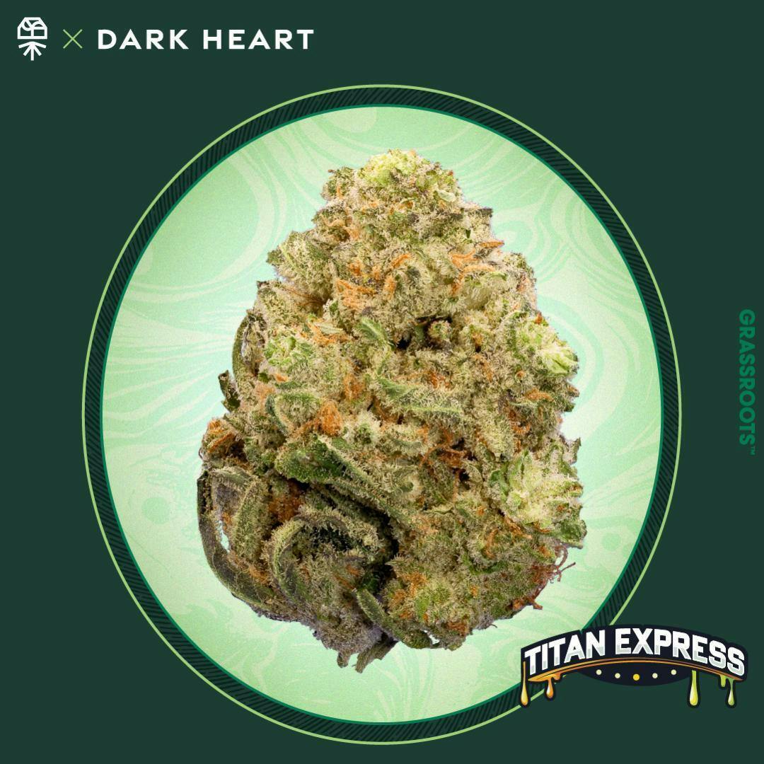 Titan Express Small Buds - Dark Heart Collection by Grassroots