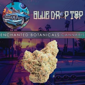 Enchanted Botanicals | Blue Drop Top | Flower