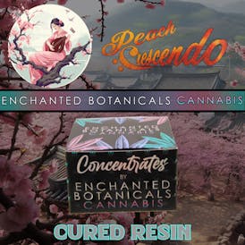 Enchanted Botanicals | Peach Crescendo | Cured Resin