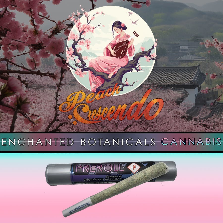 Peach Crescendo Pre Roll