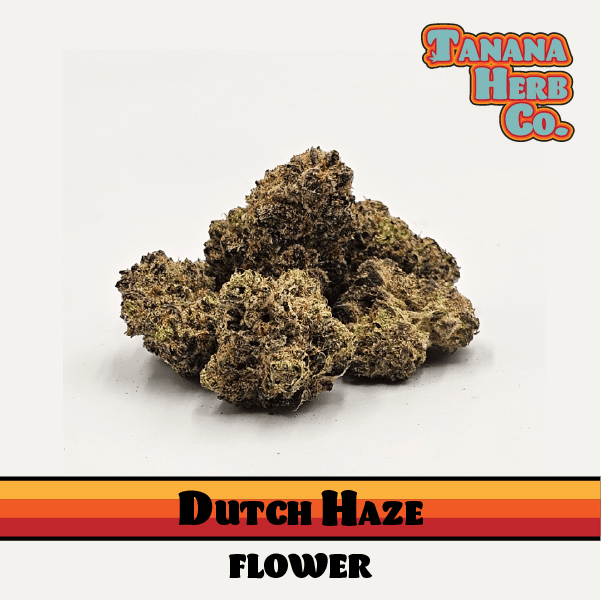 Dutch Haze Deli Flower