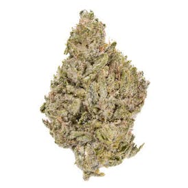 Blueberry Muffin - 7G Diamond Infused Premium Flower