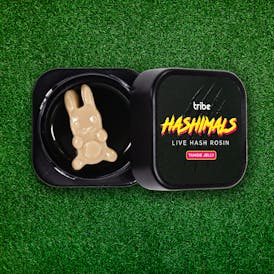 Tangie Jelly - Hashimals - Live Hash Rosin - Bunny - 1g