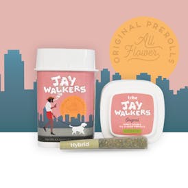 Jaywalkers Original - Hybrid - White Truffle - 11 Flower Pre Rolls - 4.4g