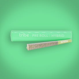 Raspberry Cookies - Hybrid - Flower Pre Roll - 1g