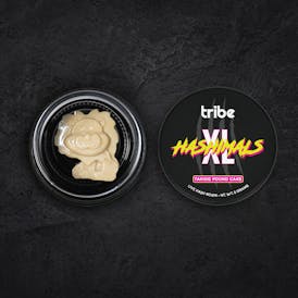 Tangie Pound Cake - XL Hashimals - Live Hash Rosin - Lion - 5g