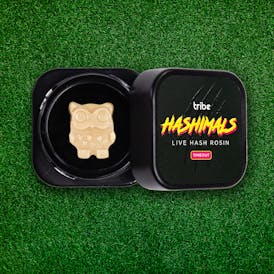 Timeout - Hashimals - Live Hash Rosin - Owl - 1g