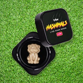 Timeout - Hashimals - Live Hash Rosin - Lion - 1.5g