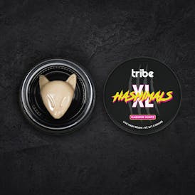 Kashmir Mintz - XL Hashimals - Live Hash Rosin - Fox - 5g