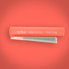 Lemon Zest - Sativa - Flower Pre Roll - 1g